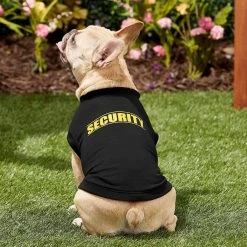 Frisco Security Dog & Cat T-Shirt -Pet Cat Supplies Shop 139501 PT4. AC SS1800 V1624606952