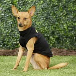 Frisco Security Dog & Cat T-Shirt -Pet Cat Supplies Shop 139501 PT5. AC SS1800 V1624603968