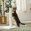 Frisco 21-in Sisal Cat Scratching Post With Toy -Pet Cat Supplies Shop 140149 MAIN. AC SS1800 V1665765071