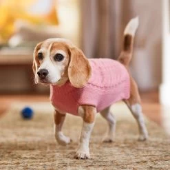 Frisco Dog & Cat Cable Knitted Sweater -Pet Cat Supplies Shop 144254 PT5. AC SS1800 V1541456525