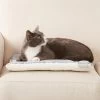 Frisco Reversible Square Cat Pad -Pet Cat Supplies Shop 144826 MAIN. AC SS1800 V1566936429