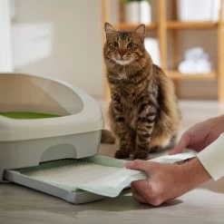 Frisco Cat Litter Pads, Unscented -Pet Cat Supplies Shop 149816 PT5. AC SS1800 V1675279991