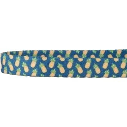Frisco Pineapple Polyester Breakaway Cat Collar With Bell -Pet Cat Supplies Shop 153158 PT3. AC SS1800 V1568380088