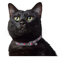 Frisco Rose Polyester Breakaway Cat Collar With Bell -Pet Cat Supplies Shop 153160 PT3. AC SS1800 V1701796877