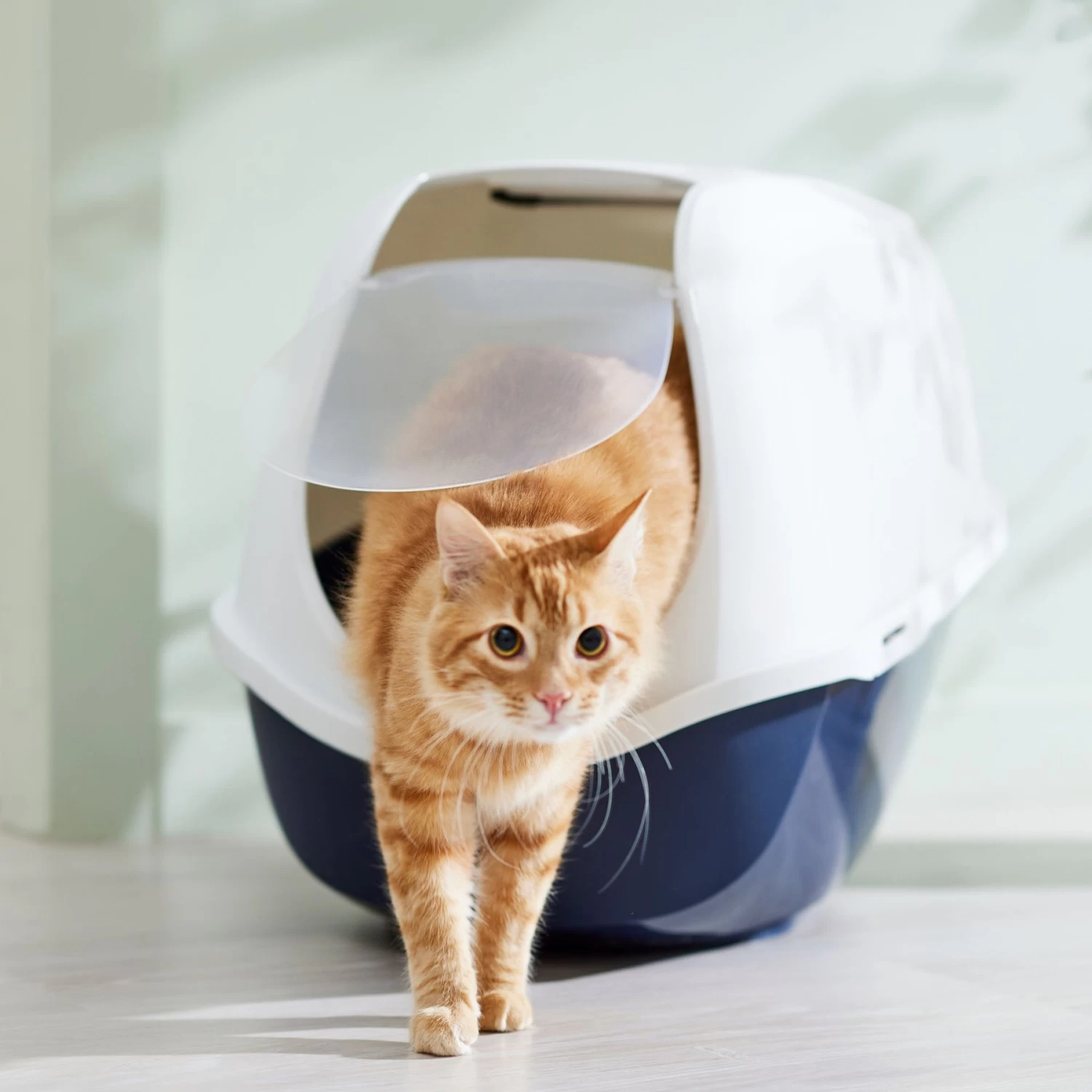 Frisco Hooded Cat Litter Box 3 Frisco Hooded Cat Litter Box