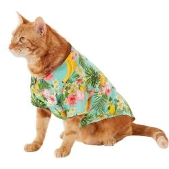 Frisco Pineapple Hawaiian Camp Dog & Cat Shirt -Pet Cat Supplies Shop 153596 PT2. AC SS1800 V1673304512