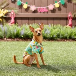 Frisco Pineapple Hawaiian Camp Dog & Cat Shirt -Pet Cat Supplies Shop 153596 PT7. AC SS1800 V1644884316