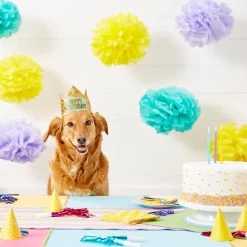 Frisco Happy Birthday Dog & Cat Crown -Pet Cat Supplies Shop 153665 PT5. AC SS1800 V1551231039