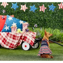 Frisco American Cutie Dog & Cat Sundress -Pet Cat Supplies Shop 153735 PT4. AC SS1800 V1633126624