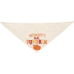 Frisco Mommy's Lil Pumpkin Dog & Cat Bandana -Pet Cat Supplies Shop 158936 PT3. AC SS1800 V1689628812