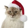 Frisco Holiday Dog & Cat Santa Hat, 1 Count -Pet Cat Supplies Shop 160054 MAIN. AC SS1800 V1663948847