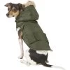 Frisco Mid-Heavyweight Portland Insulated Dog & Cat Parka -Pet Cat Supplies Shop 160295 MAIN. AC SS1800 V1566999745