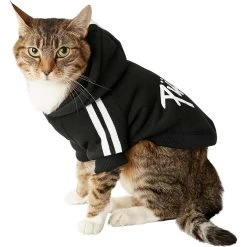 Frisco Püppy Dog Athletic Hoodie -Pet Cat Supplies Shop 160342 PT3. AC SS1800 V1637716325