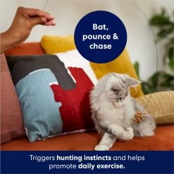 Frisco Cardboard & Wire Teaser Cat Toy -Pet Cat Supplies Shop 161194 PT3. AC SS1800 V1686579092