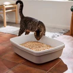 Frisco Pine Pellet Unscented Non-Clumping Wood Cat Litter 13 Frisco Pine Pellet Unscented Non-Clumping Wood Cat Litter -Pet Cat Supplies Shop 161458 PT4. AC SS1800 V1659023182