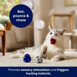 Frisco Colorful Crinkle Ball Cat Toy -Pet Cat Supplies Shop 166330 PT5. AC SS1800 V1691784248