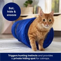 Frisco Foldable Play Tunnel With Mesh Cat Toy 8 Frisco Foldable Play Tunnel With Mesh Cat Toy -Pet Cat Supplies Shop 166385 PT2. AC SS1800 V1686580143