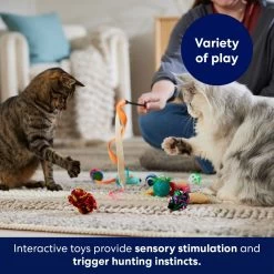 Frisco Plush, Teaser & Ball Variety Pack Cat Toy With Catnip 10 Frisco Plush, Teaser & Ball Variety Pack Cat Toy With Catnip -Pet Cat Supplies Shop 169686 PT5. AC SS1800 V1691783971