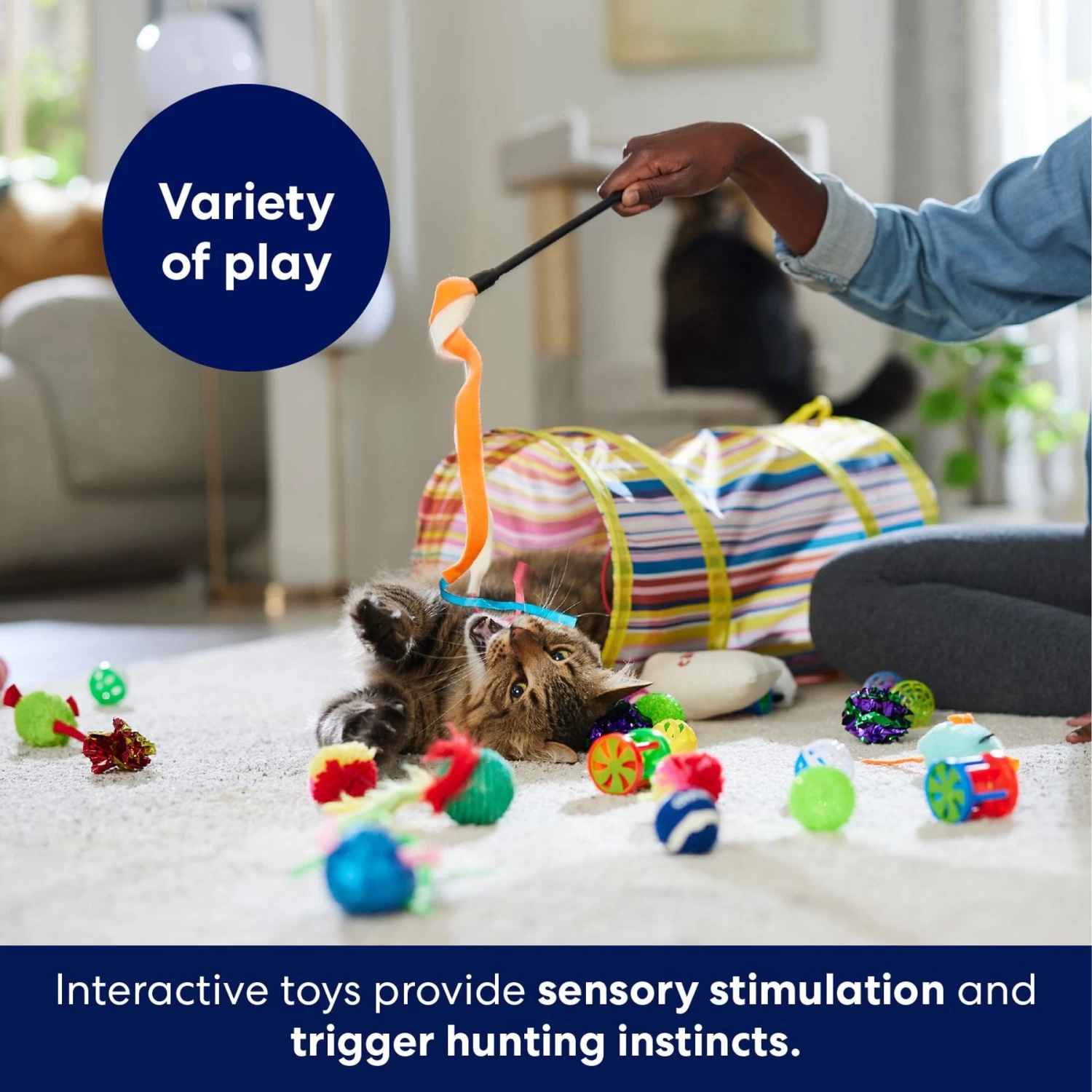 Frisco Plush, Teaser, Ball & Tunnel Variety Pack Cat Toy With Catnip 7 Frisco Plush, Teaser, Ball & Tunnel Variety Pack Cat Toy With Catnip - Image 5