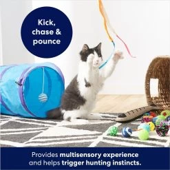 Frisco Plush, Teaser, Ball & Tri-Tunnel Variety Pack Cat Toy With Catnip, 20 Count 10 Frisco Plush, Teaser, Ball & Tri-Tunnel Variety Pack Cat Toy With Catnip, 20 Count -Pet Cat Supplies Shop 178161 PT3. AC SS1800 V1678723898