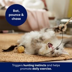 Frisco Sparkle Ball Teaser Wand Cat Toy With Catnip 10 Frisco Sparkle Ball Teaser Wand Cat Toy With Catnip -Pet Cat Supplies Shop 183254 PT3. AC SS1800 V1695241915