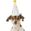 Frisco Confetti Dog & Cat Birthday Hat -Pet Cat Supplies Shop 191274 Main. AC SS1800 V1582053295