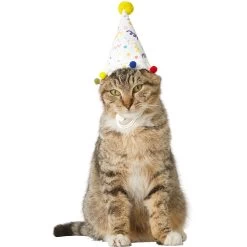 Frisco Confetti Dog & Cat Birthday Hat -Pet Cat Supplies Shop 191274 PT2. AC SS1800 V1582053206