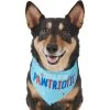 Frisco Pawtriot Dog & Cat Bandana -Pet Cat Supplies Shop 191277 Main. AC SS1800 V1584623866