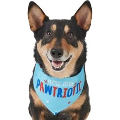 Frisco Pawtriot Dog & Cat Bandana