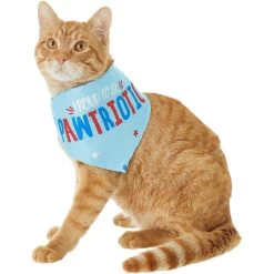 Frisco Pawtriot Dog & Cat Bandana -Pet Cat Supplies Shop 191277 PT2. AC SS1800 V1584623825
