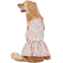 Frisco Pink Floral Dog & Cat Dress -Pet Cat Supplies Shop 191295 PT2. AC SS1800 V1637653354
