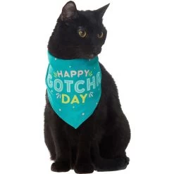 Frisco Happy Gotcha Day Dog & Cat Bandana -Pet Cat Supplies Shop 200538 PT2. AC SS1800 V1633057623