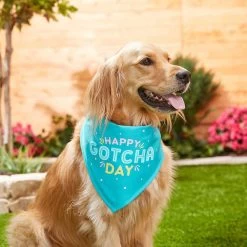 Frisco Happy Gotcha Day Dog & Cat Bandana -Pet Cat Supplies Shop 200538 PT3. AC SS1800 V1633086146