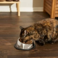 Frisco Stainless Steel Taper Non-Skid Cat Bowl -Pet Cat Supplies Shop 204467 PT6. AC SS1800 V1599090080