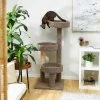 Frisco 50-in Real Carpet Wooden Cat Tree -Pet Cat Supplies Shop 208930 MAIN. AC SS1800 V1602682020