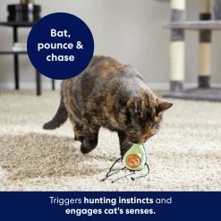 Frisco Dangly Avocado Buddy Plush Cat Toy With Catnip 10 Frisco Dangly Avocado Buddy Plush Cat Toy With Catnip -Pet Cat Supplies Shop 213846 PT5. AC SS1800 V1691784029