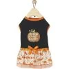 Frisco Pumpkin Patch Cutie Dog & Cat Dress -Pet Cat Supplies Shop 215784 MAIN. AC SS1800 V1632424571