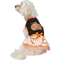 Frisco Pumpkin Patch Cutie Dog & Cat Dress 11 Frisco Pumpkin Patch Cutie Dog & Cat Dress -Pet Cat Supplies Shop 215784 PT3. AC SS1800 V1632430875