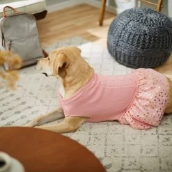 Frisco Cable Knit Dog & Cat Sweater Dress -Pet Cat Supplies Shop 223706 PT7. AC SS1800 V1599921696