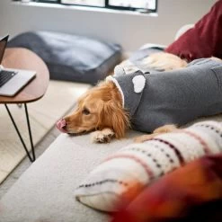 Frisco Bear Hooded Dog & Cat Sweater -Pet Cat Supplies Shop 223786 PT7. AC SS1800 V1599566227