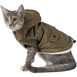 Frisco Mid-Heavyweight Love Insulated Dog & Cat Coat -Pet Cat Supplies Shop 224034 PT2. AC SS1800 V1599498998