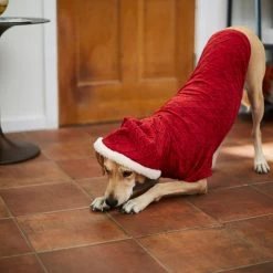 Frisco Textured Knit Dog & Cat Hoodie -Pet Cat Supplies Shop 224233 PT7. AC SS1800 V1601578309