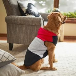 Frisco Colorblock Dog & Cat Sleeveless Hoodie -Pet Cat Supplies Shop 224263 PT6. AC SS1800 V1637685778