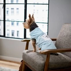 Frisco Mommy's Little Bear Dog & Cat Hoodie -Pet Cat Supplies Shop 224272 PT7. AC SS1800 V1599924073