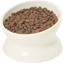 Frisco Double-Sided Ceramic Elevated Cat Bowl -Pet Cat Supplies Shop 232081 PT6. AC SS1800 V1684760471