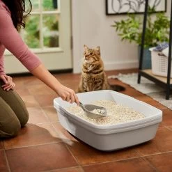 Frisco Tofu Clumping Cat Litter -Pet Cat Supplies Shop 232117 PT4. AC SS1800 V1659546420
