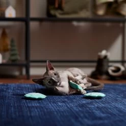 Frisco Snowflake Plush Cat Toy With Catnip, 3 Count 8 Frisco Snowflake Plush Cat Toy With Catnip, 3 Count -Pet Cat Supplies Shop 233285 PT3. AC SS1800 V1661874178