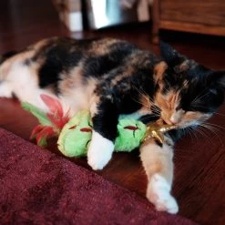 Frisco Holiday Christmas Tree Plush Kicker Cat Toy With Catnip 8 Frisco Holiday Christmas Tree Plush Kicker Cat Toy With Catnip -Pet Cat Supplies Shop 233305 PT2. AC SS1800 V1602172376