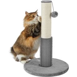 Frisco 21-in Sisal Cat Scratching Post With Toy & Groomer -Pet Cat Supplies Shop 236533 PT2. AC SS1800 V1615987395