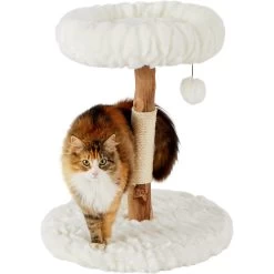Frisco Natural Wood Modern Cat Tree With Toy, Ivory, Small -Pet Cat Supplies Shop 236559 PT2. AC SS1800 V1615987338